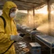 Bundibugyo Ebola outbreak DRC treatment center workers