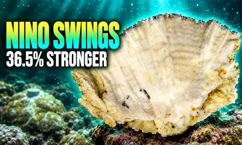 Galapagos coral cores El Nino 36.5 percent stronger