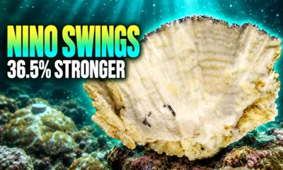 Galapagos coral cores El Nino 36.5 percent stronger