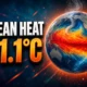 extra-polar ocean 21.1°C Copernicus ERA5 August record