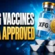 FDA approves XFG COVID-19 vaccines without CDC vote