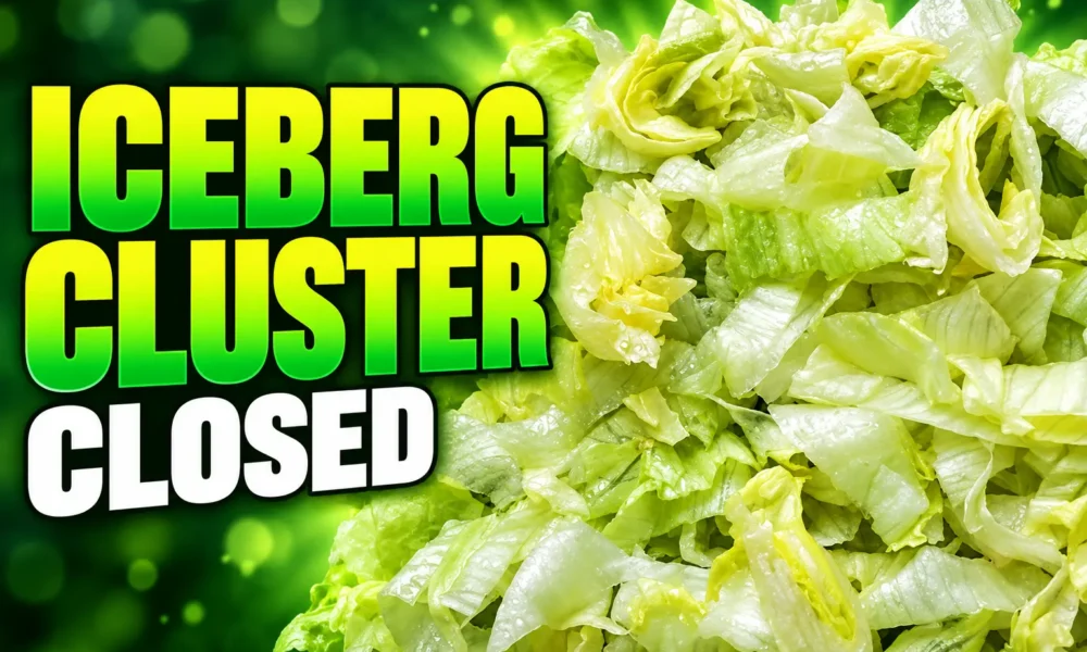 CDC cyclospora iceberg lettuce outbreak declared over