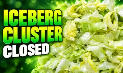 CDC cyclospora iceberg lettuce outbreak declared over