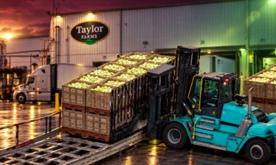 Taylor Farms Mexico iceberg lettuce cyclospora harvest halt